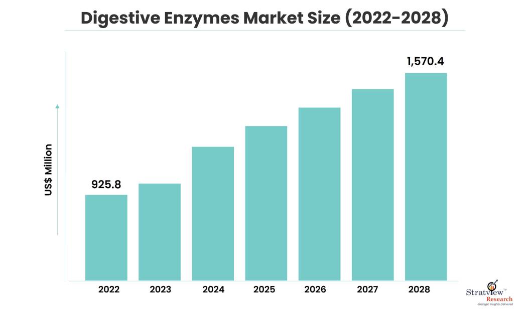 Digestive Enzymes Market Size